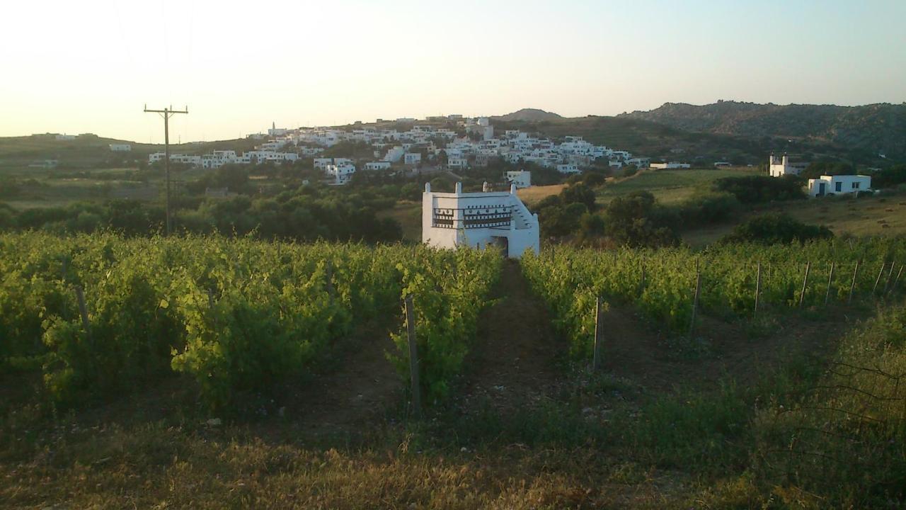 Villa Arokaria Steni Exterior photo